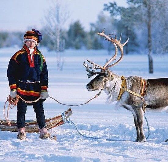 Lapland Soft Winter Adventure